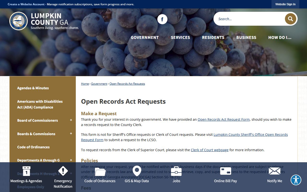 Lumpkin County court records open records routing page